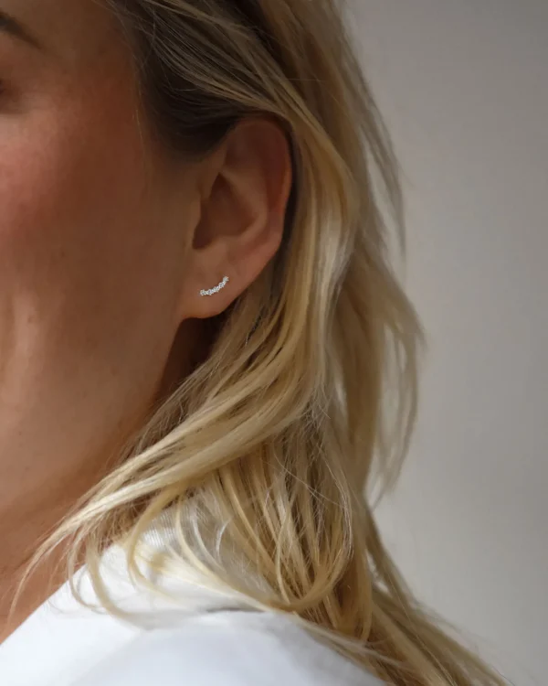 Diamond Sky fall studs silver